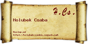 Holubek Csaba névjegykártya